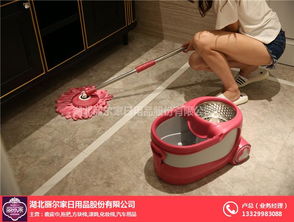 跨領(lǐng)域品質(zhì)堅(jiān)守 煙臺(tái)麗爾家日用品與電子產(chǎn)品銷(xiāo)售的融合之道